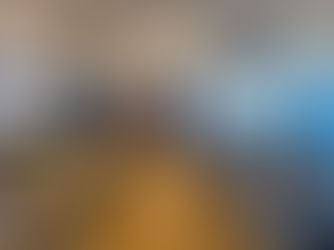 Bamboo for Climate Action: Watch the Seminar Recording Now