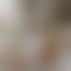 Repas mariage en extérieur avec vue sur les vignes Les Terres de Saint Hilaire