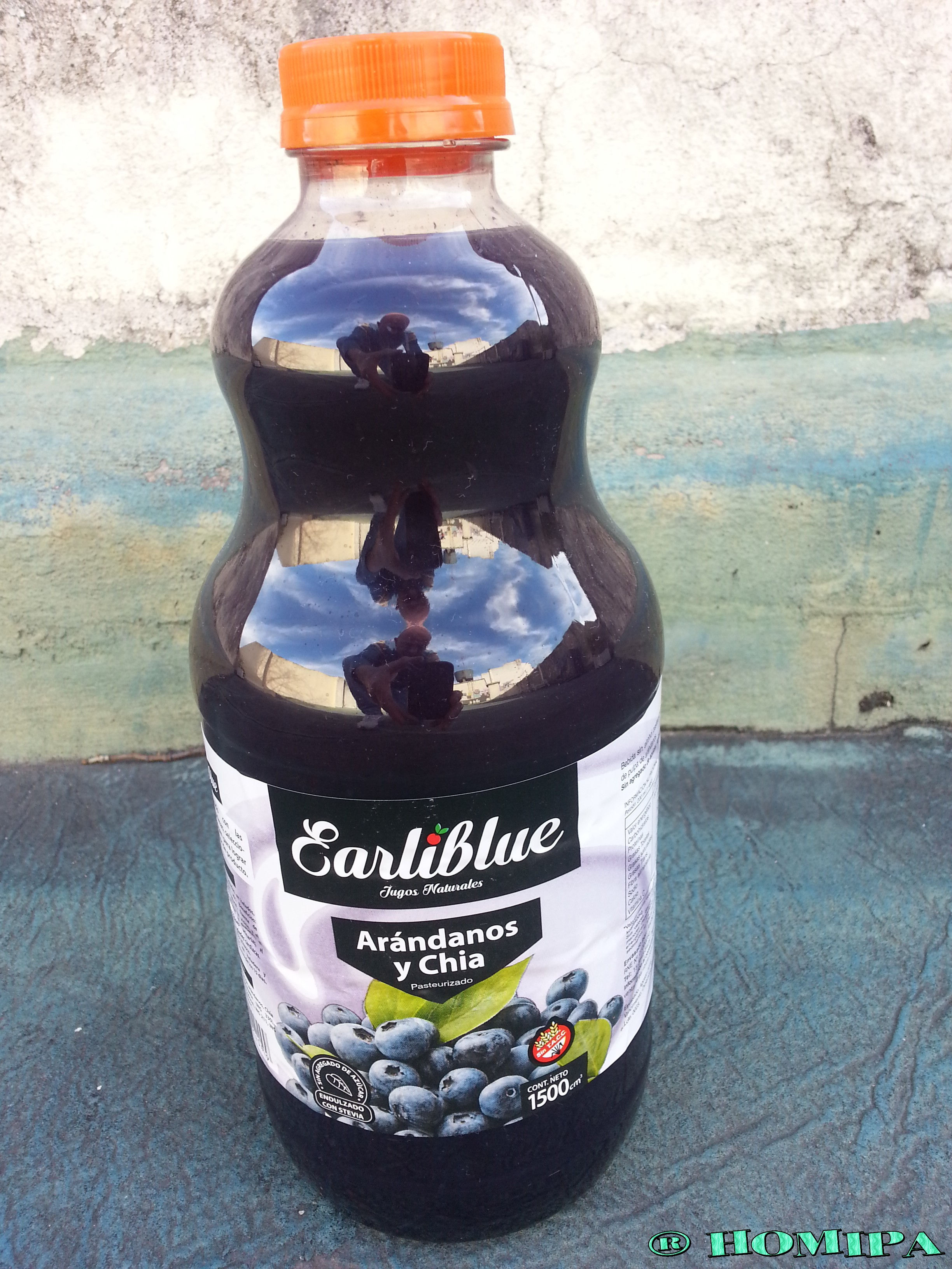 JUGO DE ARANDANOS CON CHIA EAIRLIBLUE O J BERRIES X 1.5 LITROS