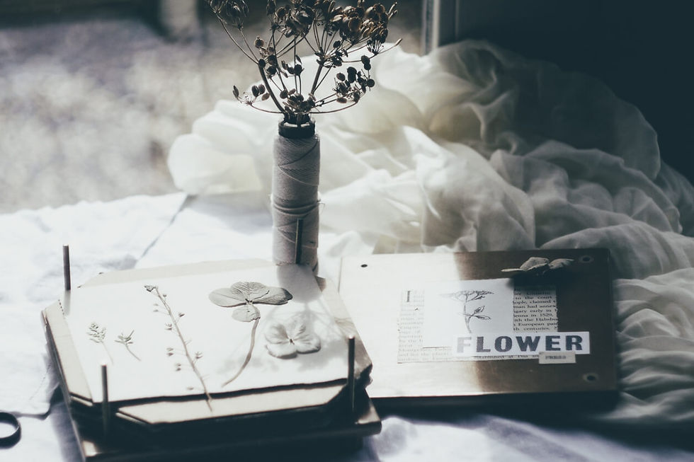 Pressed flowers arranged on paper in soft natural light, textured still life