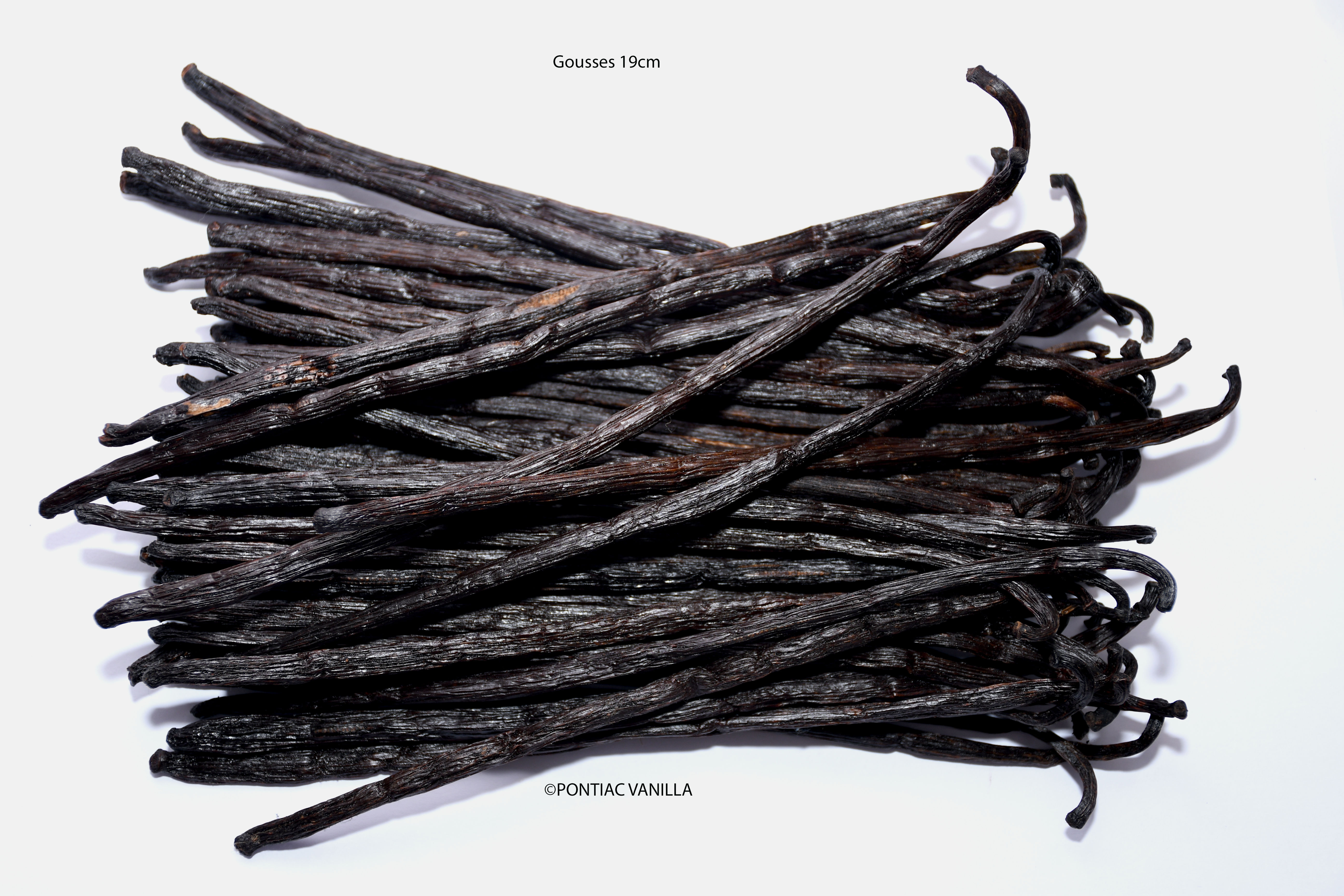 2 vainas gourmet de vainilla Bourbon negra de Madagascar de 18 a 19 cm