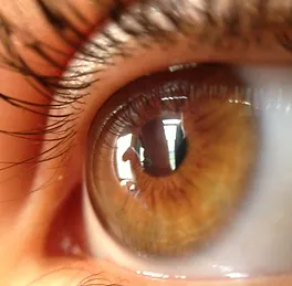 Ortho K contact lenses