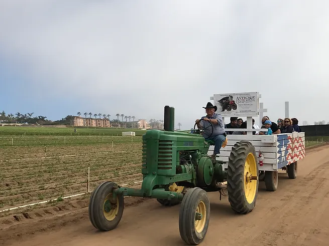 Tractor Rides
