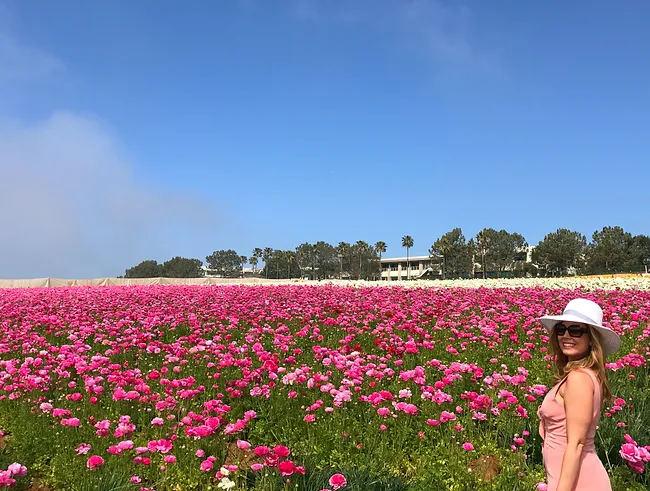 Enjoying the sea on Pink