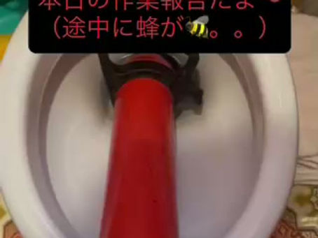 本日の作業報告!