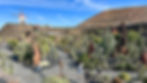 Cactus garden of Guatiza, Lanzarote