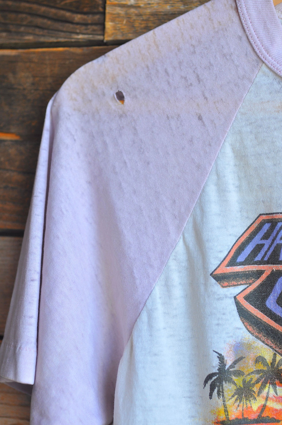 Thumbnail: Vintage 80s Paper Thin Cropped Harley Davidson Daytona Raglan Tee | M/L