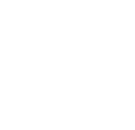 MinyoCrusaders/民謡クルセイダーズ