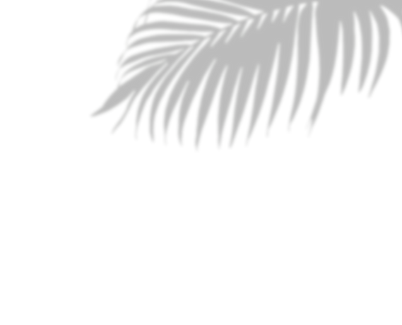 Plant-5 (1).png