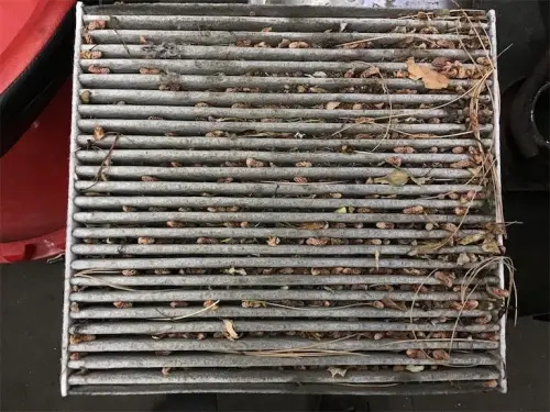 dirty cabin filter