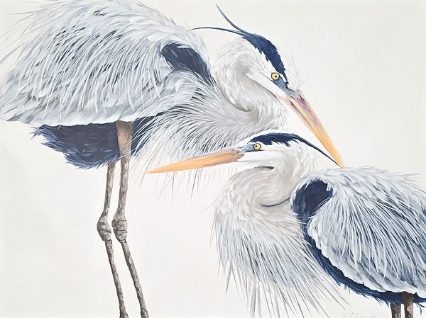 20260417_191246 (2)_edited.jpg