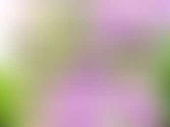 ダイエット中○○不足になっていませんか?