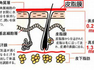 毒素を排泄する汗のかき方