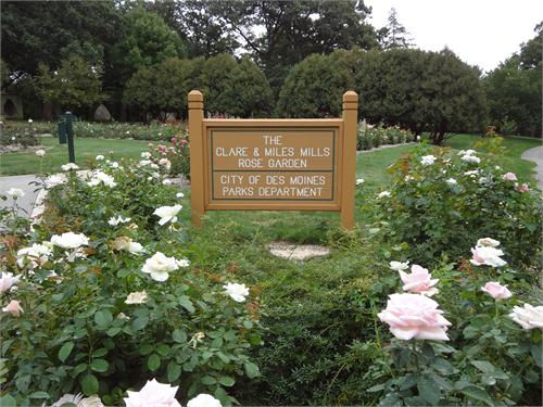Rose Garden