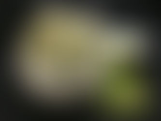 AvarekaaLu Masala Undi / Hyacinth Beans Steamed Rice Dumplings