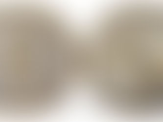 Poursuite de la mise en ligne