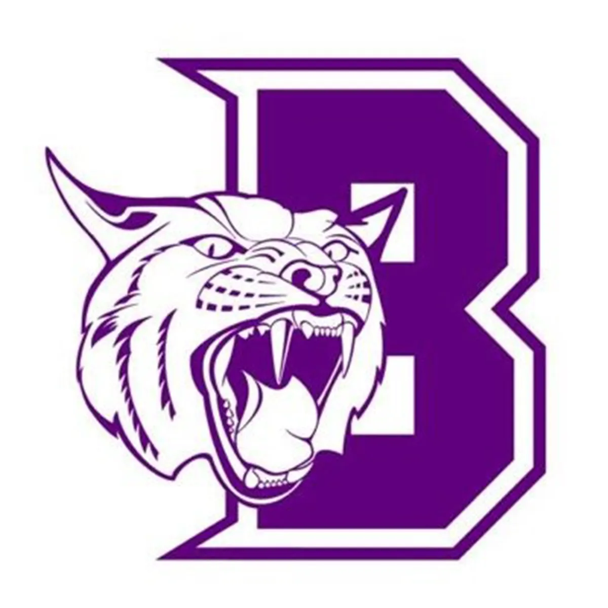 Berryville__AR__Bobcats_Logo.webp