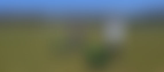 Arkansas Co-ops Greening Up the Grid With Sustainable Habitat Projects