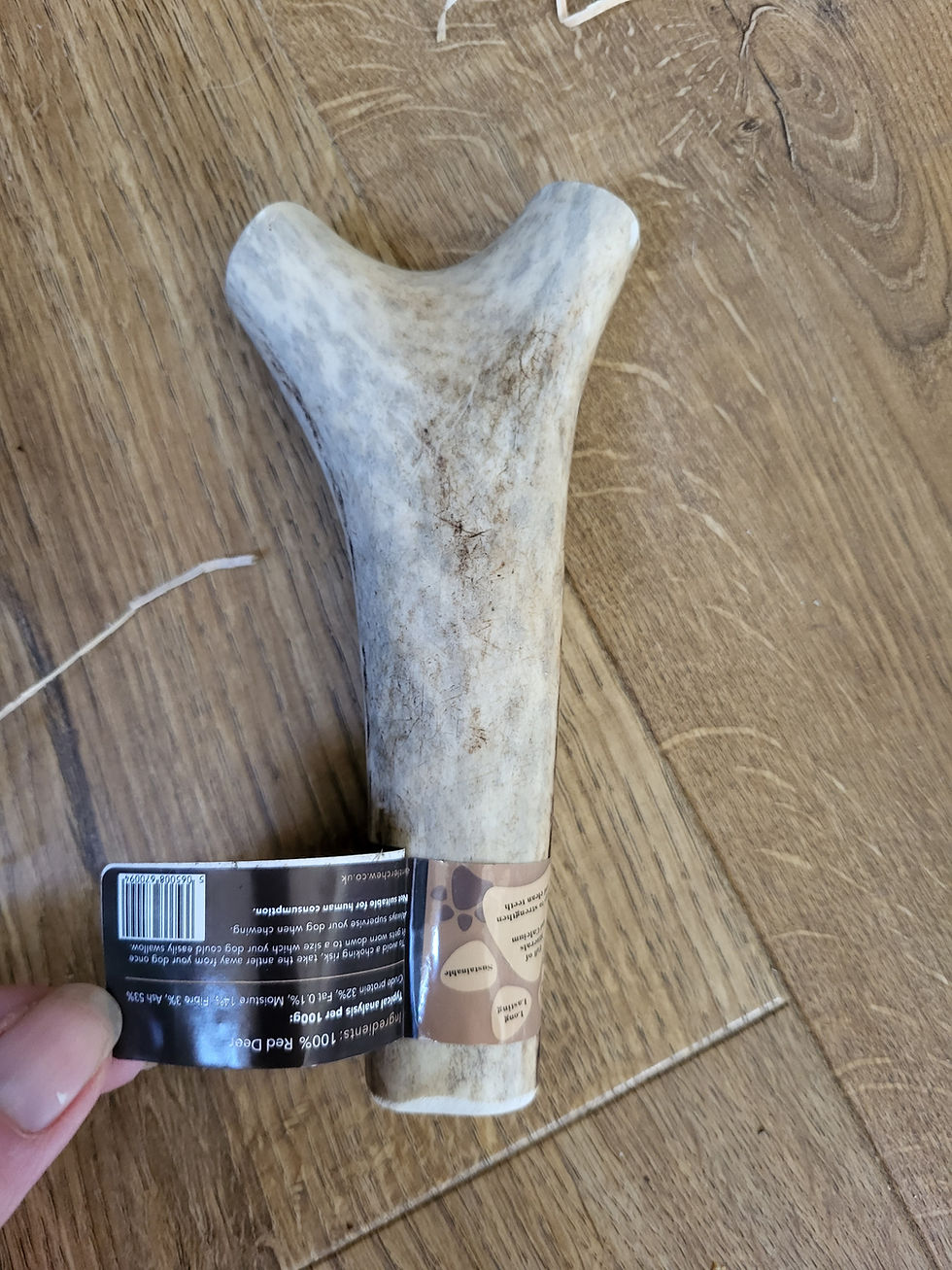 Thumbnail: Antlers