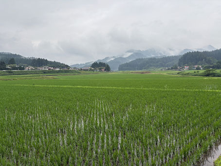 Turning Inland