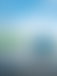 [동자 도큐먼트] : 동자 in 네버랜드