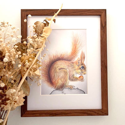 Cadre décoratifs, atmosphère douce et chaleureuse, tendresse, grâce et douceur à travers les dessins  représentant la faune, les animaux libres dans la nature