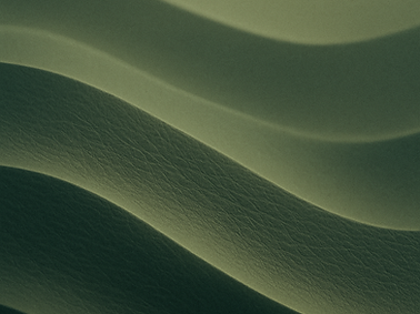 ChatGPT Image Jul 28, 2025, 12_04_39 PM.png