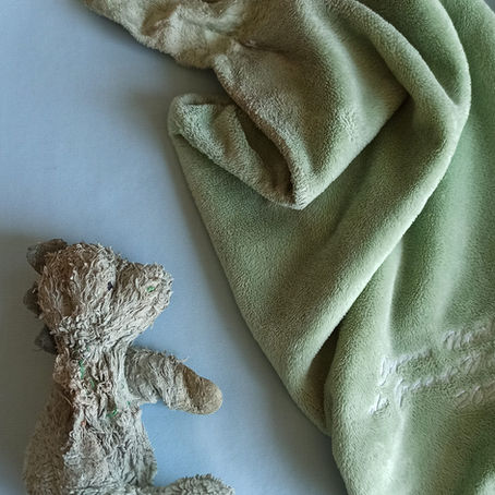 Petit dinosaure a perdu son bras