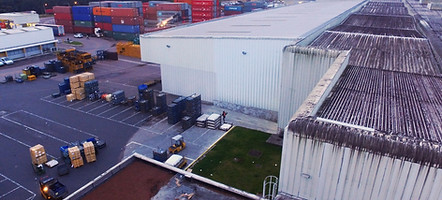 problemas com pombos, controle de fauna, pombos curitiba, paraná, aves de rapina