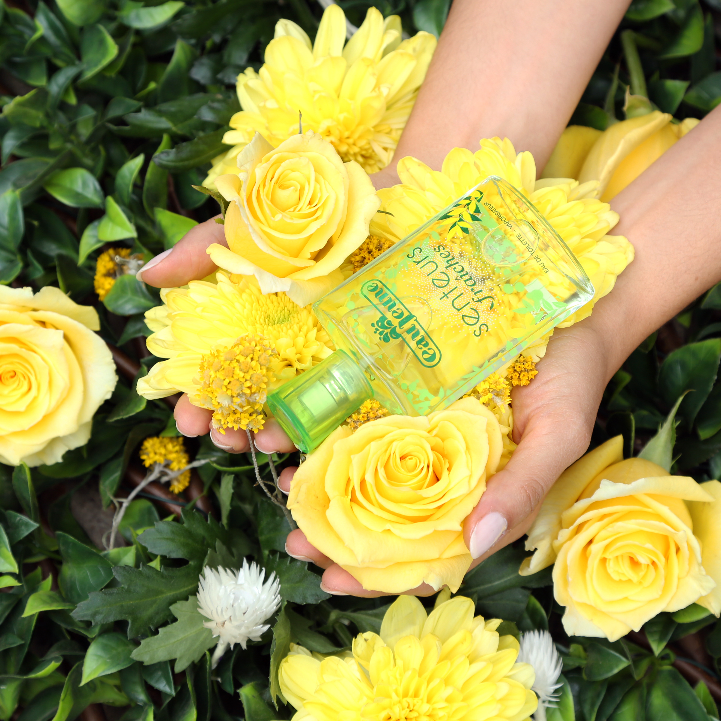 FRAGRANCE
