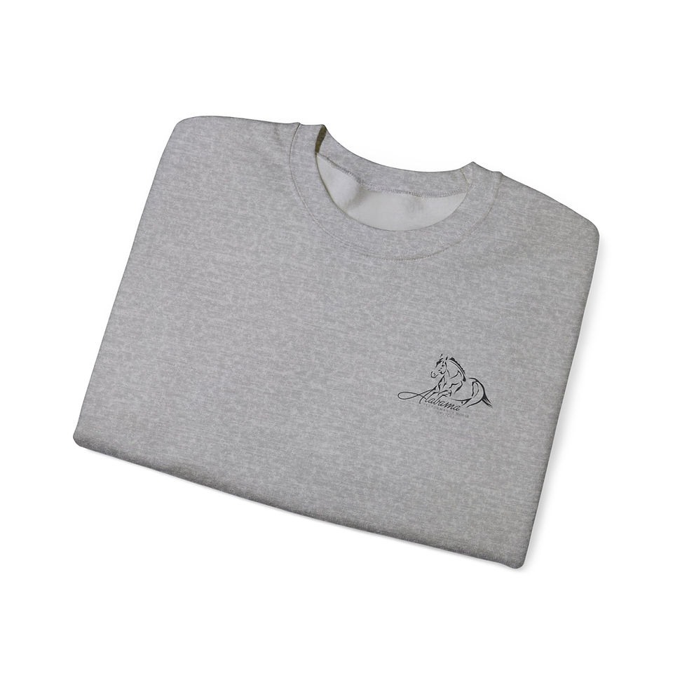 Thumbnail: APHS Heavy Blend™ Crewneck Sweatshirt