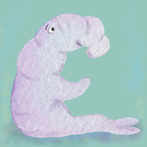 20-e-letter-elephant-seal_50041957457_o.jpg