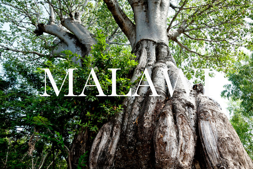MALAWI.CHIZUMULU ISLAND