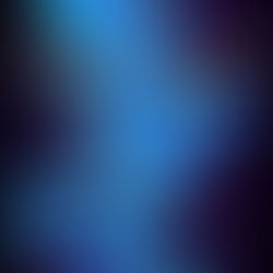 Laura Rueckert: A Dragonbird in the Fern (Dyslexia)