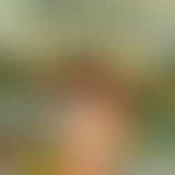 Chris Baron: The Gray (Anxiety)