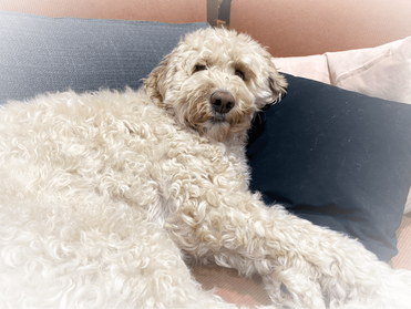 Kun elämä yllättää – miten pysyä kiinni siinä, mikä on tärkeää?