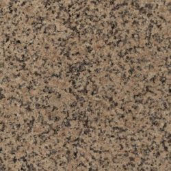 Beige Abano