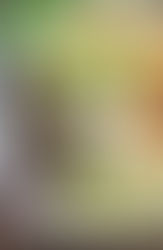 Chicken Burrito Bowl