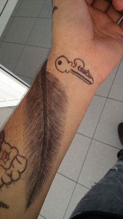 Pluma