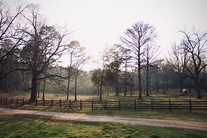 IMG_5608.jpeg