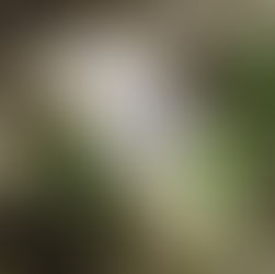 אפריל בסימן ליל הסדר 