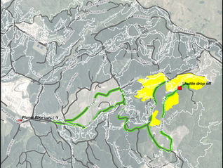 Active Logging in the Forest....