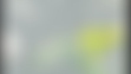 Active Logging in the Forest....