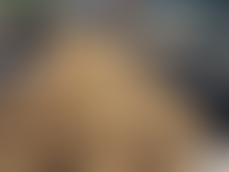 🌟🚵‍♂️ WHAKA WEEKLY 🚵‍♂️🌟 31st July 2025
