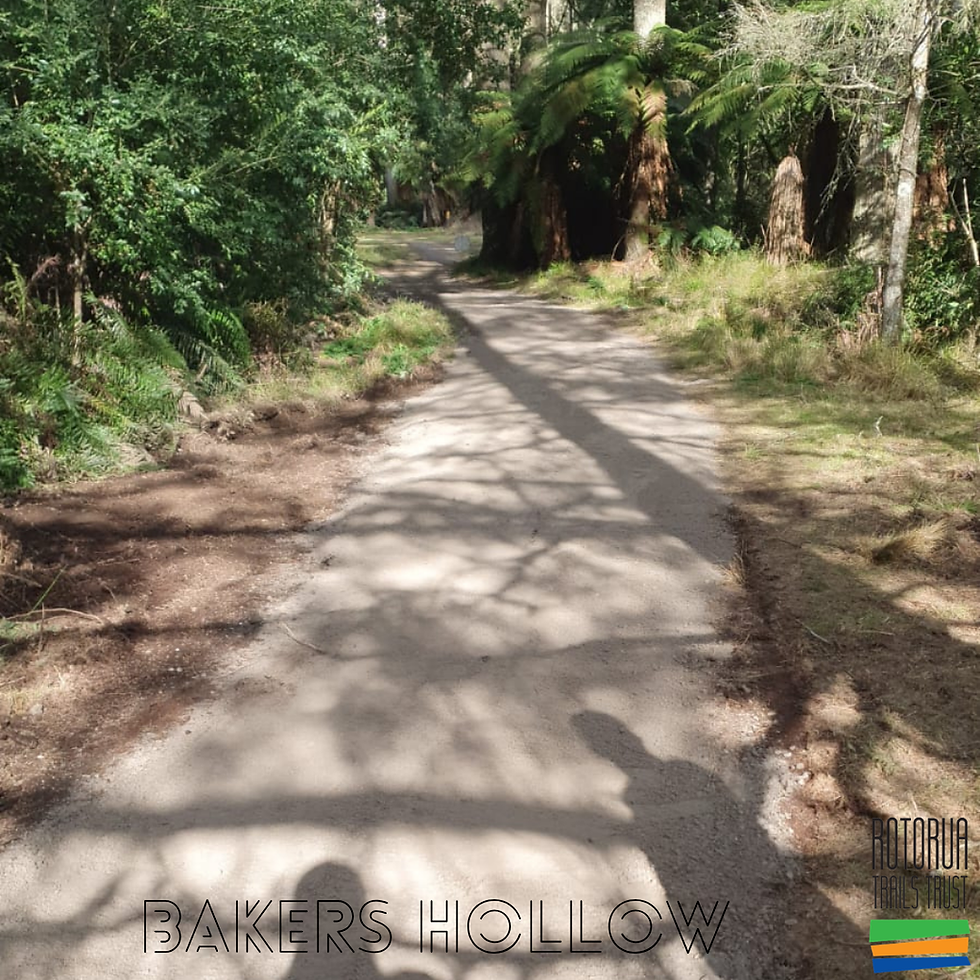 WHAKA WEEKLY 🌲4 September 2026