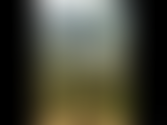 ๐ฒWHAKA WEEKLY ๐ฒ 12 Feb 2026