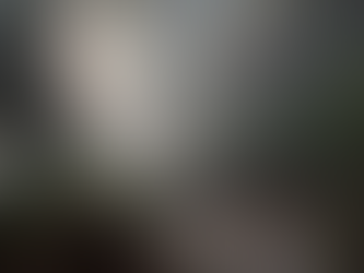 WHAKA WEEKLY 🌲 16 July 2026