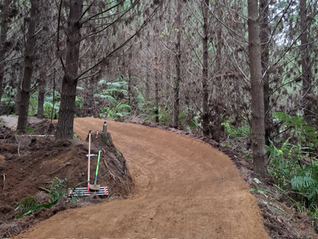 🌟🚵‍♂️ WHAKA WEEKLY 🚵‍♂️🌟9th October 2025