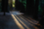 DSC05217.jpg