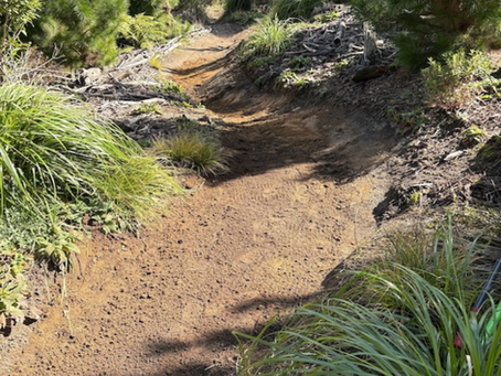 🌟🚵♂️ WHAKA WEEKLY 🚵♂️🌟 14 August 2025🌤️